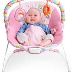 Baby Bouncer