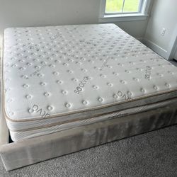 Saatva Classic 14.5" California King Mattress - LIKE NEW 