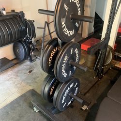 Rogue Fitness Bumper Plates And Vulcan Vertical Weight Tree