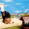 MR BEAR COLLECTABLES 
