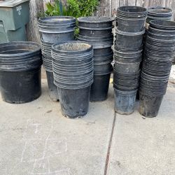 80 Gallon Plastic Pots Plants 🪴 