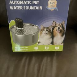 Pet Fountain 