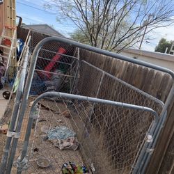 Dog Cage 