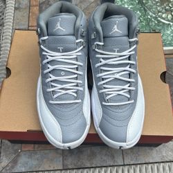 AIR JORDAN 12