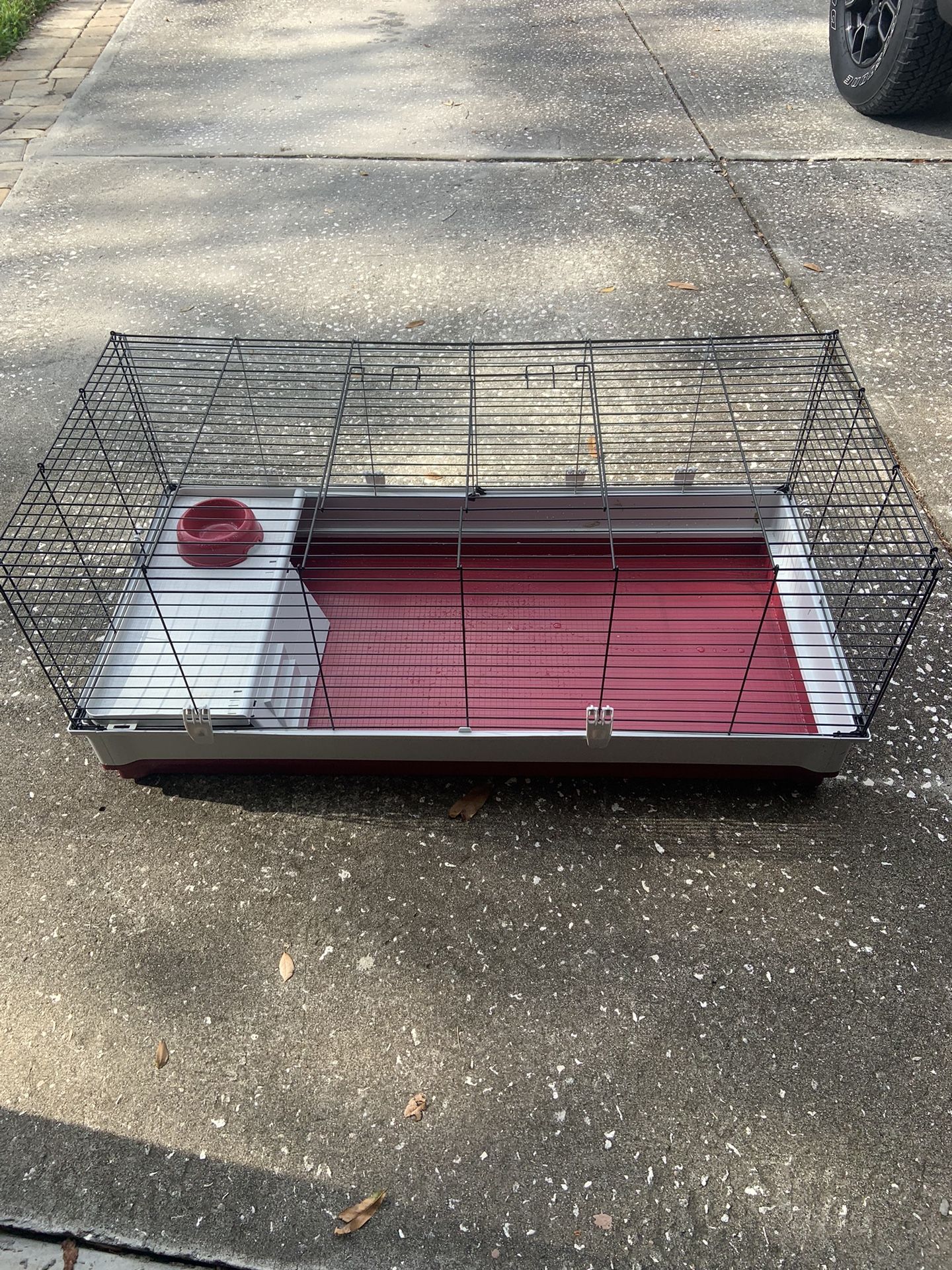 Large Critter Cage