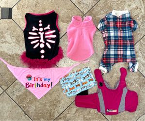 Small Dog Outfits