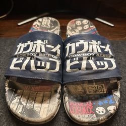 Cowboy Bepop Slides