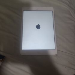 Apple IPad 5/8 Inch