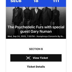 The Psychedelic Furs