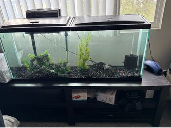 Fish tank and stand