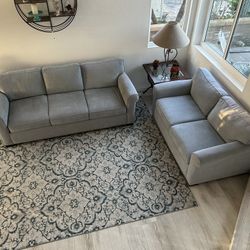 Couch, Loveseat & Area Rug