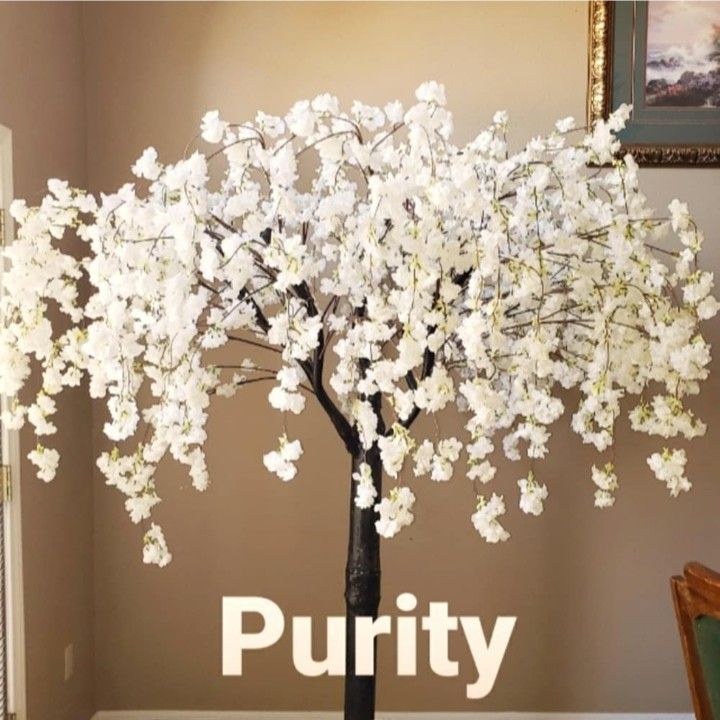 Cherry BLOSSOM trees For sale