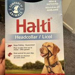 Dog Collar/Lead