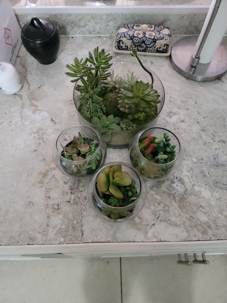 Faux Succulent Plants In Glass