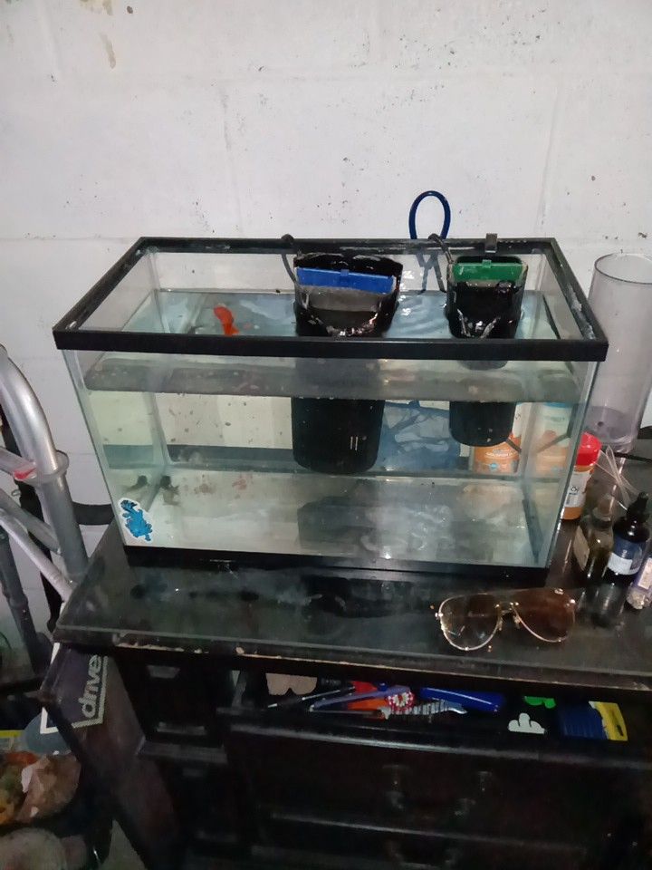 Fish Tank $40