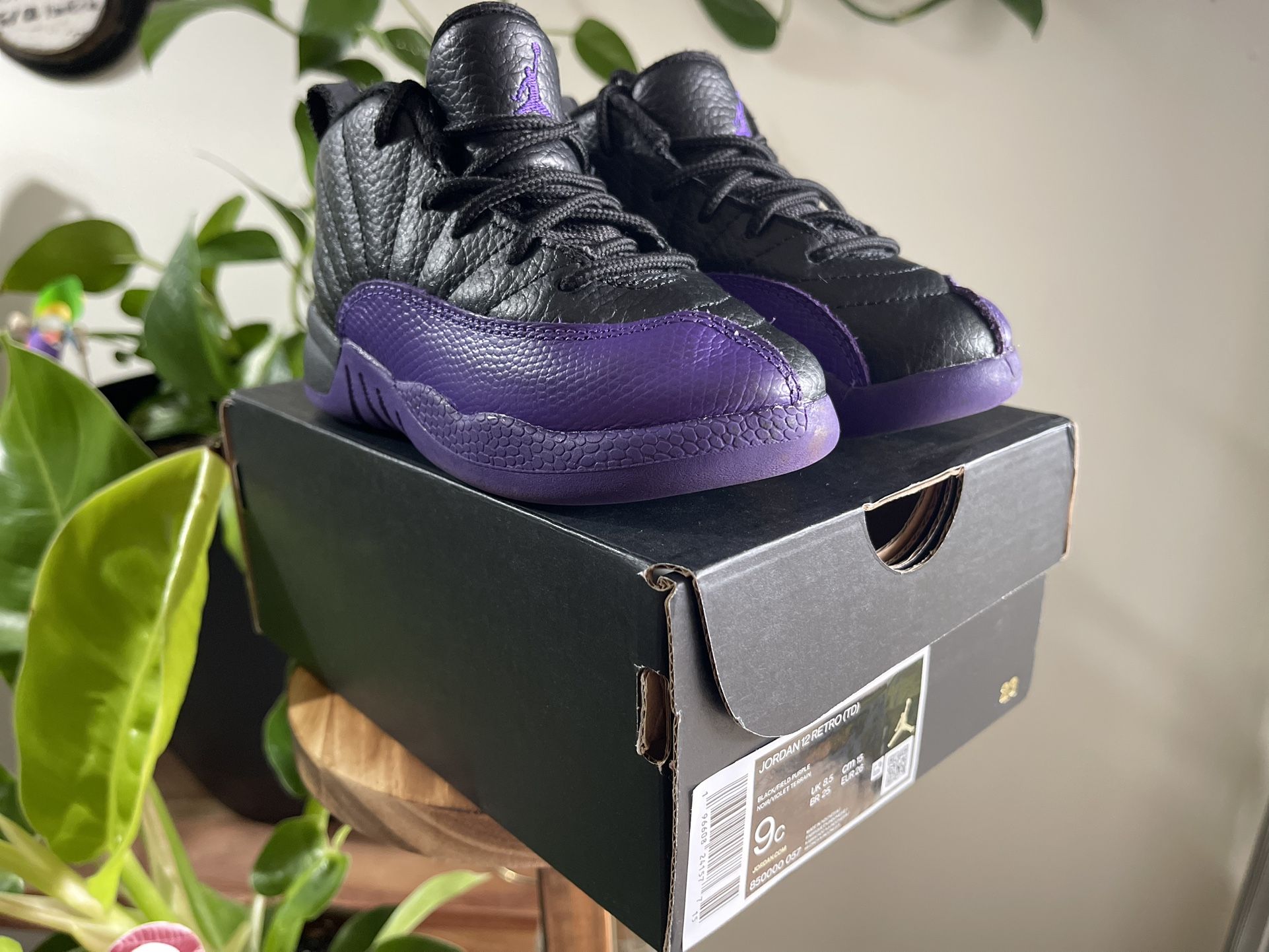 Jordan 12 ‘Field Purple’ Size 9c