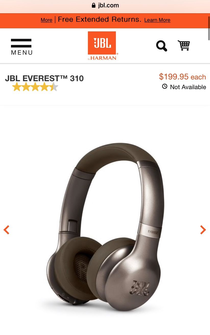 Wireless headphones JBL EVEREST 310