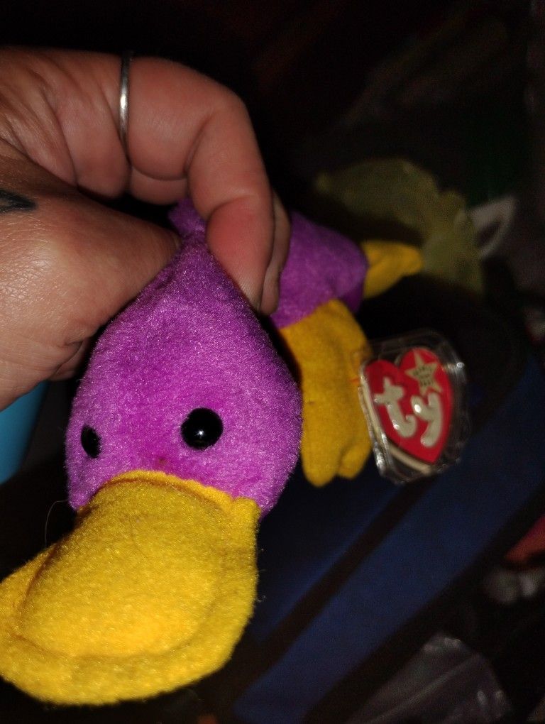 Rare Original Beanie Baby Made In Korea With Multiple Errors On Tag!! 