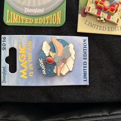 Dumb Disney Pin