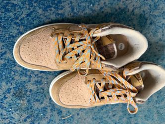 Nike sb