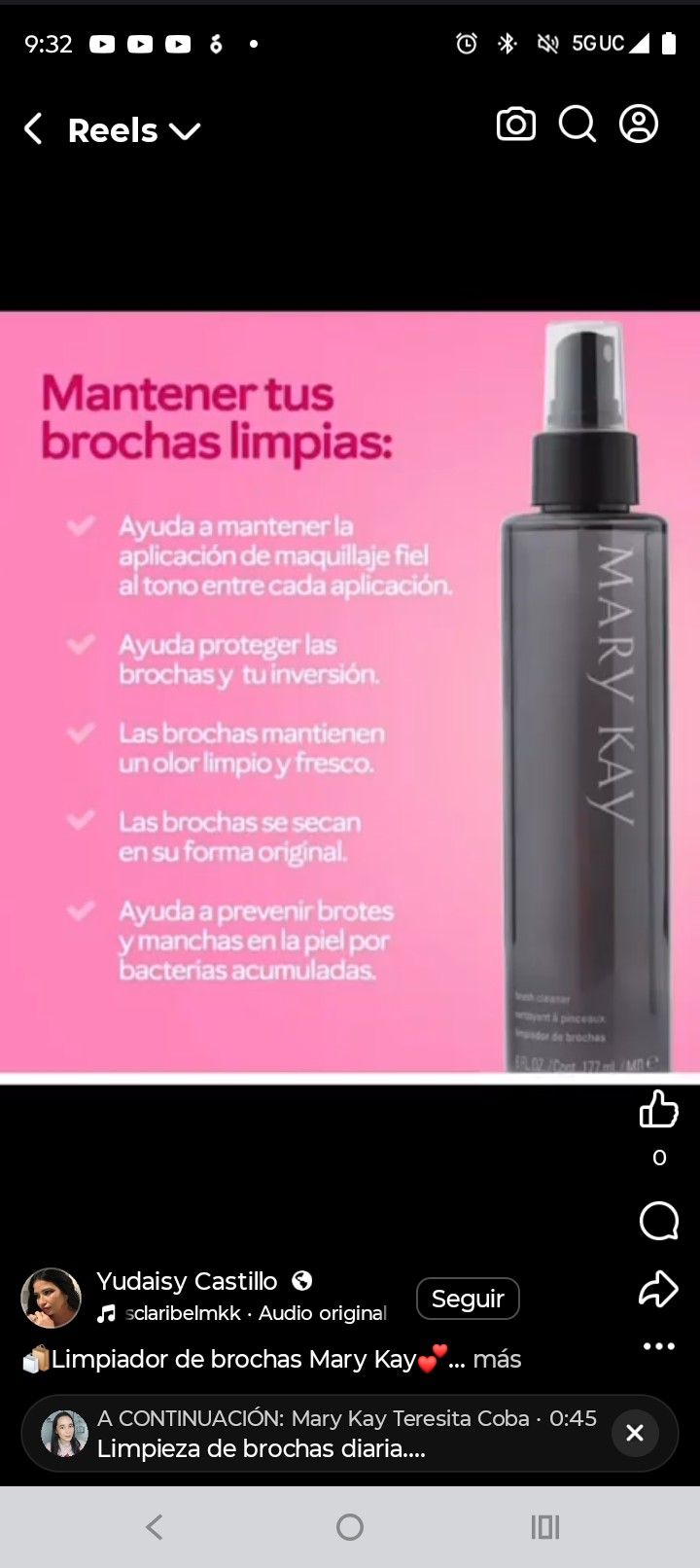 Desinfectante Para Brochas