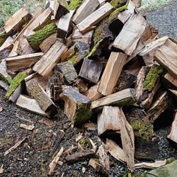 Firewood 