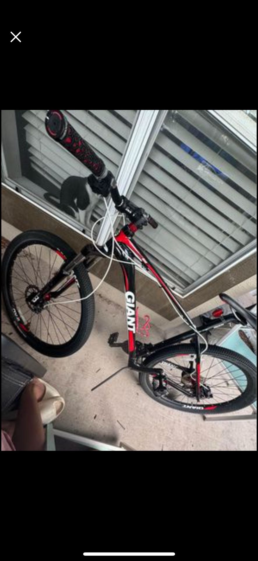 Giant Talon 29 Inch