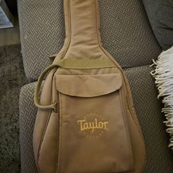 Taylor mini gig bag
