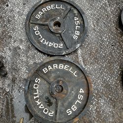 A pair of 45lbs Olympic size weight plates