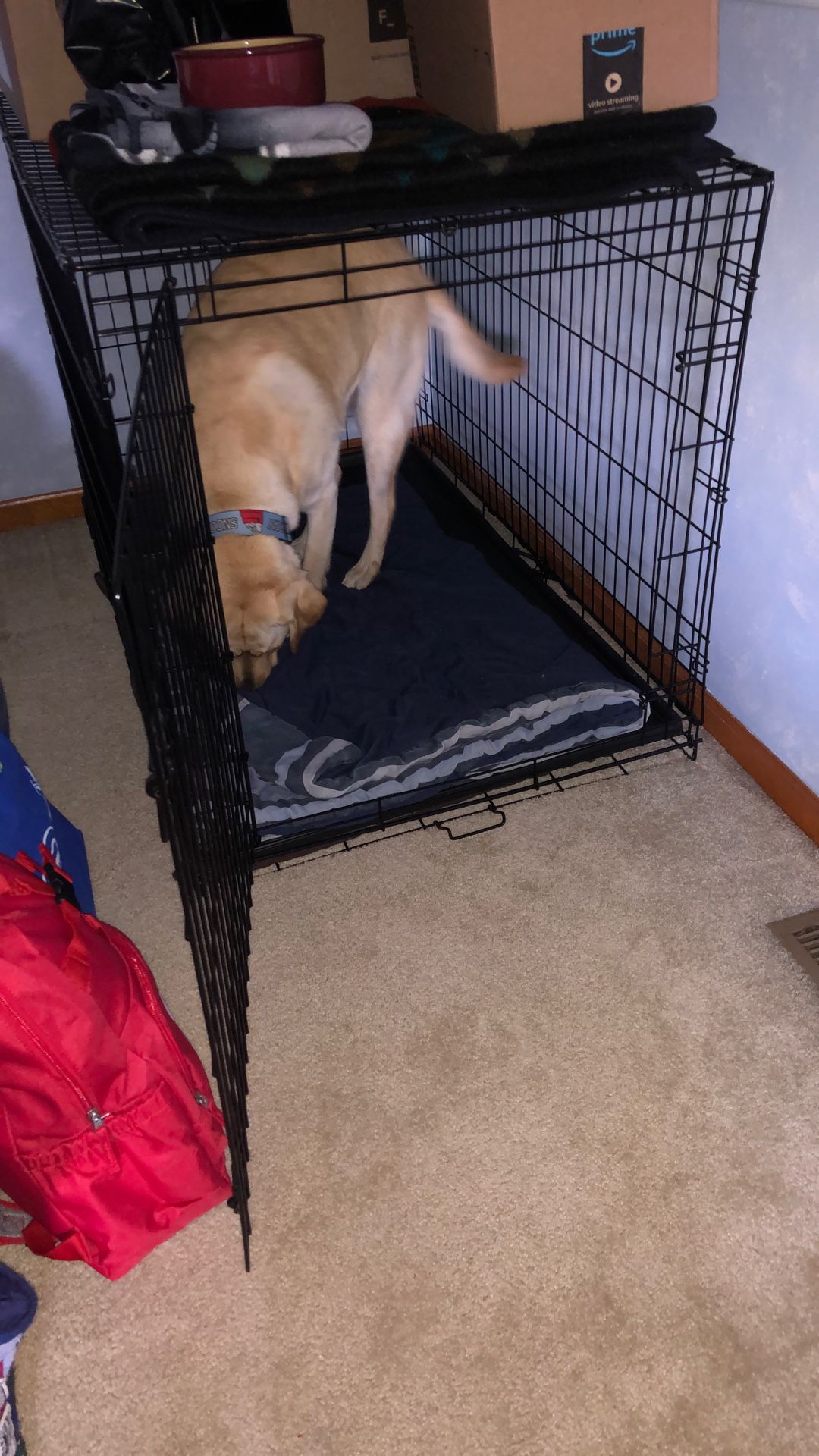 Extra Large Dog Crate