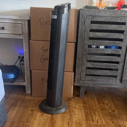 Two Tower Fans Each $25