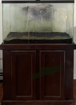 45 Gallon Tank With Stand