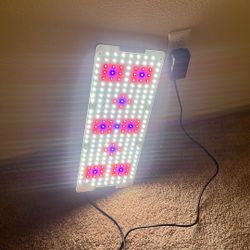 Led Grow Light 