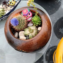 Decorative pots w/succulents