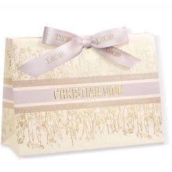 Dior Paper Gift Shopping Bag Limited Edition 2024 NEW 10x7