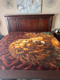 Lion Family King Size Blanket