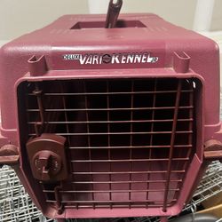 PET Carrier 