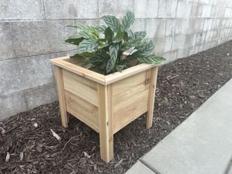 Cedar Planters