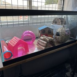 20 gallon tank with hamster supplies 
