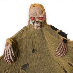 Halloween Skeleton Reaper Decoration with Light-Up Eyes