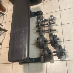 Weigh Bench And Weights Included