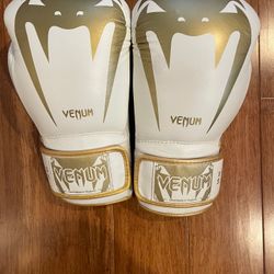 Venum Giant 3.0 Boxing Gloves