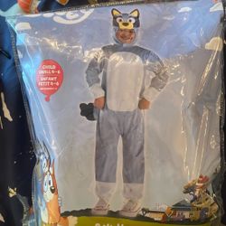 Kids Bluey Costume 