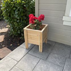 Flower Boxes 