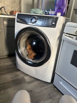 Front loader full size washer