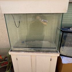 Fish tank