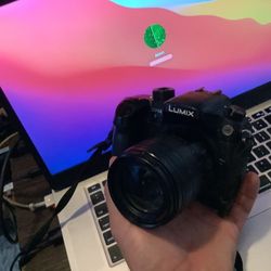 Panasonic LUMIX GH4 Mirrorless 4k

