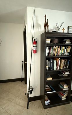 The Shimano Baitrunner 6500B  Star Rod Delux (DLX) 8ft pole