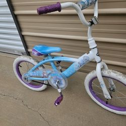 Frozen Bike 
