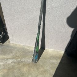 USA 31 Inch Bat 
